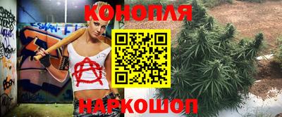 молекула духа Заводоуковск