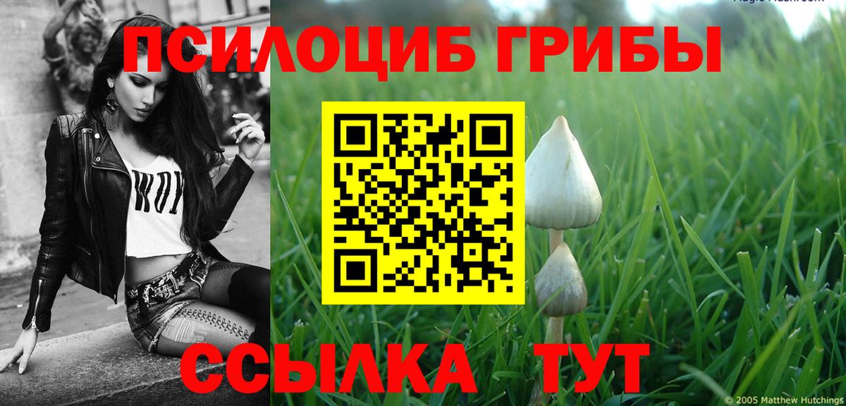 Галлюциногенные грибы Magic Shrooms  Вход с VPN  Луга 